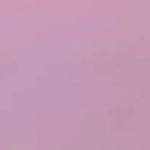 Meet your Posher, Bella